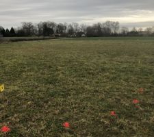 Terrain juste limité par de la bombe rouge