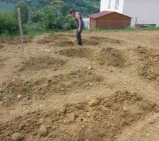 Potager en permaculture