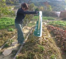 Culture sur butte - Permaculture