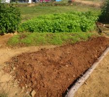 Potager en permaculture