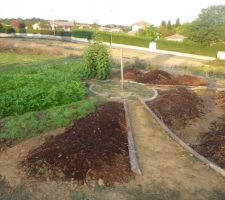 Potager en permaculture