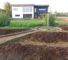 Potager en permaculture