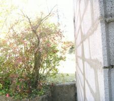 Vue ext&eacute;rieure...
