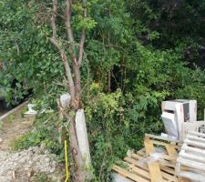 Place du futur portail