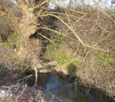 Notre petit r&ucirc; au fond du terrain