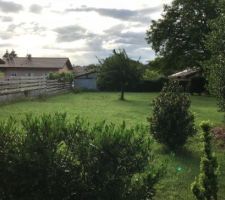 Photo du terrain