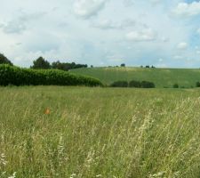 Le terrain avant le d&eacute;but des travaux