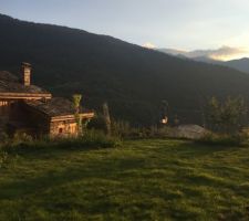 La pelouse enfin.... après des travaux de remise à niveau l?extraction de plusieurs dizaines de brouettes entières de cailloux, un camion de terre végétale et des dizaines de litres de terreau...c?est encore pas ça mais ça va venir.....