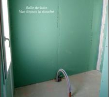 Semaine du 09 au 13 Juillet - Pose des placos terminée.

Salle de bain vue depuis la douche.