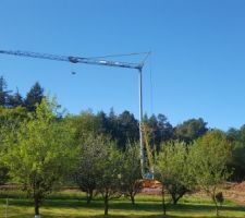 La grue trône dans le ciel bleu