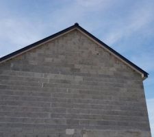 Premier jet du rampanage... pas satisfait dutout!!!!