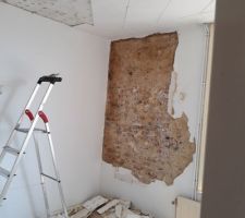 Chambre jardin, démontage mur humide