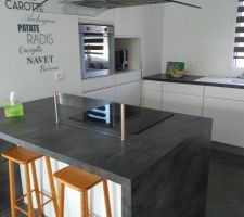 L'avantage que madame ex soit parti, c'est que maintenant la maison est propre et rangée, du coup je peux mettre des photos :)
Bon, soyez indulgents SVP, c'est très sobre et très simple, comme moi quoi :)