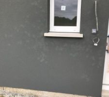 Cr&eacute;pis face avant