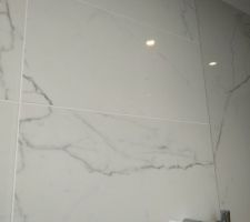Un gros coup de coeur pour cet effet marbre gris et blanc pour notre salle d'eau
