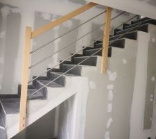Escalier bois inox verre