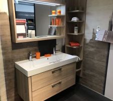 Meuble vasque SDB + Miroir + Colonne