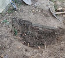 Retrait de la seconde souche