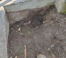 Retrait de la premi&egrave;re souche