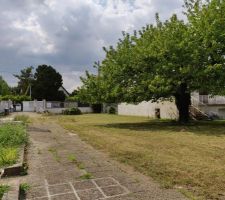 Tonte fini (vue du fond du terrain)