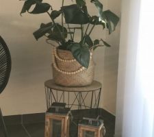 Changement de panier pour ma monstera