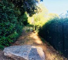 Voici notre chemin d'acces au terrain