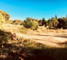 Et voici notre terrain, 2000m2 avec chemin d acces, environ 1840 m2 quasiement carré

il est sur 2 etages, a l ouest la partie haute et a l est la partie basse
coté sud aucun arbre ne gene

la grosse terasse sera donc exposé ouest ! idéal pour les apres midi au soleil !