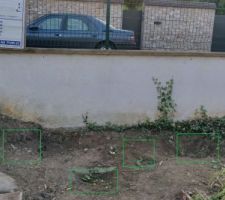 Positionnement des 5 souches retir&eacute;es