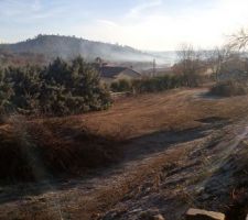 Lotissement dans la brume