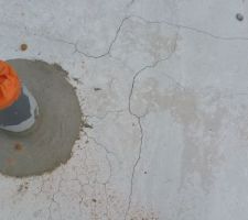 Protection termites