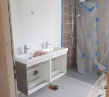 Meuble de salle de bain + colonne de douche