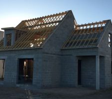 Charpente et cache moineaux termin&eacute;s