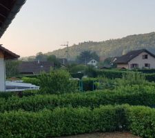 On voit la grue depuis chez nous