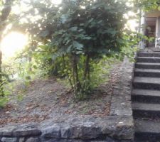 On garde l'escalier tel quel . En haut on aperçoit la terrasse actuelle que l'on veut prolonger.  Sous la terrasse il y a une citerne , réserve d'eau en dur (béton banche) qui fait la surface de la terrasse...