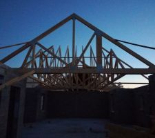 50% de la charpente installés