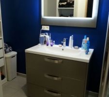Le meuble et le miroir de la salle d'eau