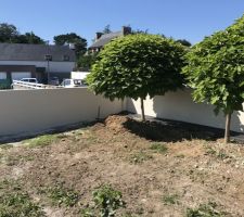 Mise en enduit des murs et parterre en finalisation