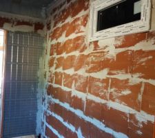 Fen&ecirc;tre entre le cellier et la douche italienne