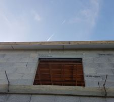 Cache-moineaux bien posés.