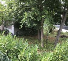 Terrain &agrave; l'achat