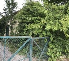 Terrain &agrave; l'achat