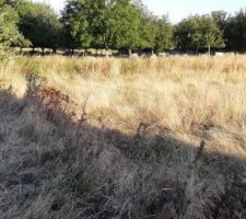 Vu de sur le talus cet été