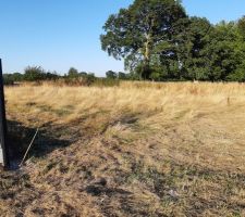 Le terrain cet été avec les hautes herbes et le talus caché en face sur la gauche