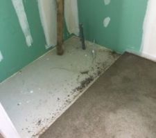 Rendu de notre chape apres 2 jours de séchage