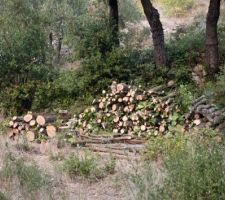 Voila le travail du weekend : 2 st&egrave;res.