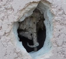 Qualité du pilier ...pilier sans béton chez maison côté so....