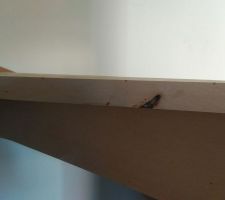 Id&eacute;e retrait contremarches et remplacement rambarde escalier.