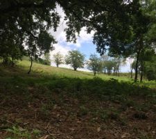Tout au fond derri&egrave;re les arbres, la rue. Un chemin sera a cr&eacute;er jusqu'&agrave; mes pieds pour rejoindre la maison