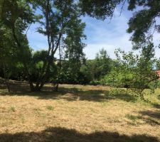 Espace qui accueillera la future piscine