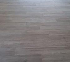 Carrelage rdc imitation parquet - Après de nombreuses hésitations pour la couleur des joints, au départ nous étions partis sur du clair (blanc ou beige) et finalement nous avons choisit taupe.
Choix que je ne regrette absolument pas au contraire, je trouve le résultat top !